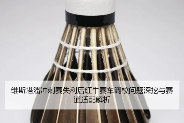 维斯塔潘冲刺赛失利后红牛赛车调校问题深挖与赛道适配解析